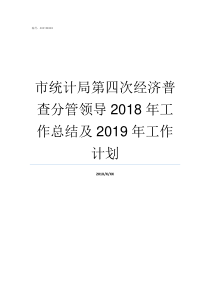 市统计局第四次经济普查分管领导2018年工作总结及2019年工作计划