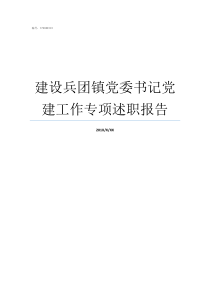 建设兵团镇党委书记党建工作专项述职报告乡镇党委书记党管武装