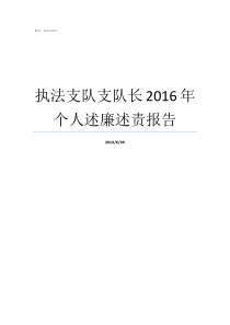 执法支队支队长2016年个人述廉述责报告