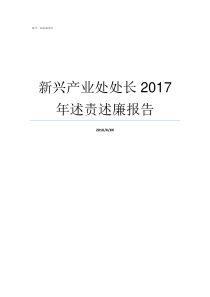 新兴产业处处长2017年述责述廉报告