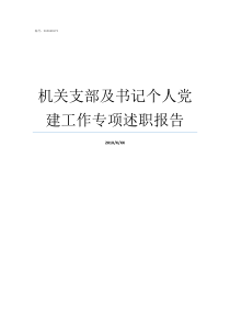 机关支部及书记个人党建工作专项述职报告