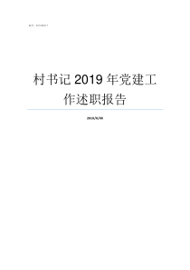 村书记2019年党建工作述职报告2019党建村书记心得体会