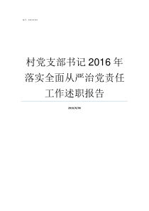 村党支部书记2016年落实全面从严治党责任工作述职报告