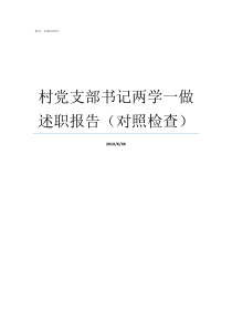 村党支部书记两学一做述职报告对照检查