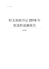 村支部副书记2016年度述职述廉报告