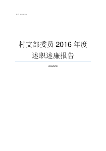 村支部委员2016年度述职述廉报告