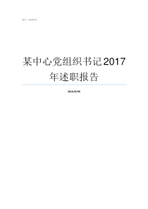 某中心党组织书记2017年述职报告党组织