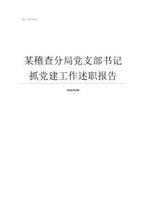 某稽查分局党支部书记抓党建工作述职报告