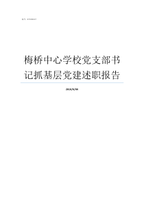 梅桥中心学校党支部书记抓基层党建述职报告对学校党支部的建议5条