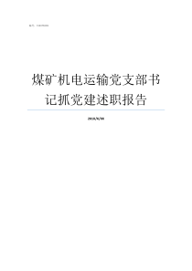 煤矿机电运输党支部书记抓党建述职报告煤矿党支部