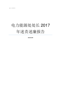 电力能源处处长2017年述责述廉报告