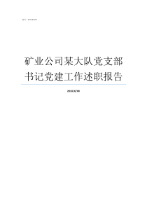 矿业公司某大队党支部书记党建工作述职报告大队部党支部和大队党支部区别