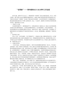 老带新青年教师年度工作总结