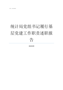 统计局党组书记履行基层党建工作职责述职报告