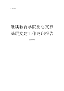 继续教育学院党总支抓基层党建工作述职报告继续教育学院有用吗