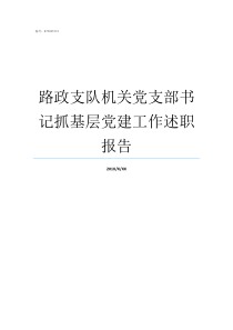 路政支队机关党支部书记抓基层党建工作述职报告路政执法支队