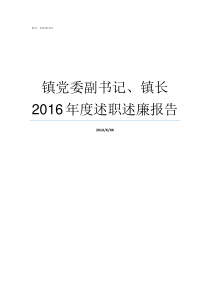 镇党委副书记镇长2016年度述职述廉报告镇党委副书记和镇长水大