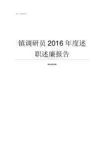 镇调研员2016年度述职述廉报告巡视员调研员