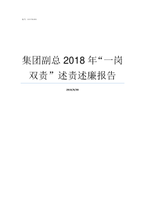 集团副总2018年一岗双责述责述廉报告