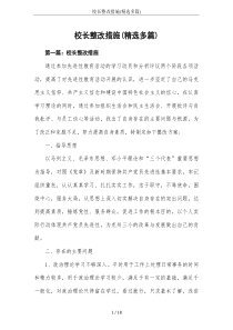 校长整改措施(精选多篇)