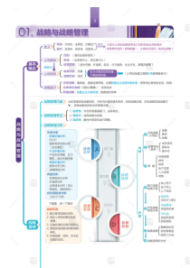 2020椰子cpa战略思维导图-高清