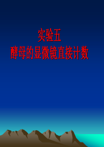 实验五、显微直接计数法