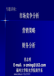 市场竞争分析和营销策略财务分析（PPT85页）