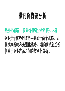 企业横向价值链分析