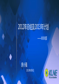 2012年工作总结及2013年工作计划(模板)