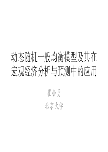 动态随机一般均衡模型及其应用DSGE