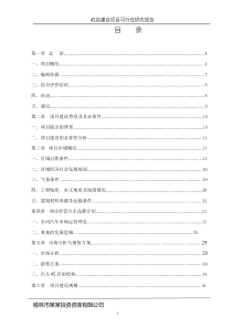 汽车4S店建设项目可行性研究报告