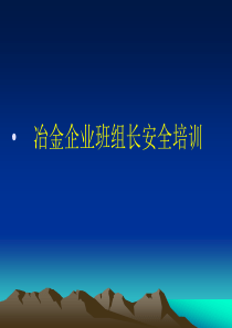 冶金企业班组长安全培训(国家)