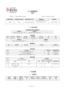 演示：个人信用报告(银行专业版)样本