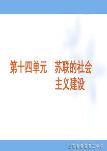 2012年高考专题复习第14单元-苏联的社会主义建设-历史-新课标-人教版