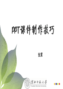 PPT课件制作技巧(new)