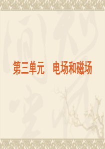 2011年高三物理二轮复习课件：第三单元 电场和磁场(共53张PPT) 下