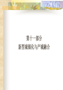 11.新型城镇化与产城融合