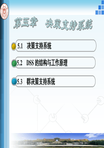 第5章决策支持系统