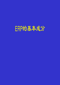 ERP基本成分