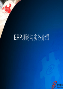 ERP基础理论培训_神州数码 090520