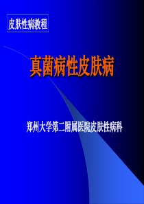 汗斑、手足癣、头癣讲稿