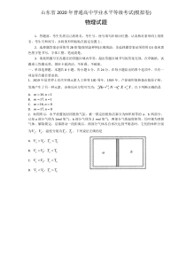 2020山东省新高考统一考试物理模拟卷