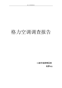 格力空调调研报告模板