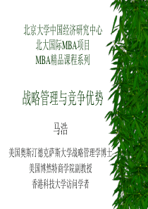 战略管理与竞争优势