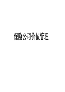 保险公司价值管理_李总报告