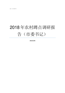 2018年农村蹲点调研报告市委书记农村专项计划2019