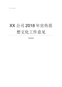 XX公司2018年宣传思想文化工作意见2019亚洲hd