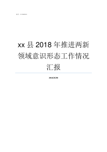 xx县2018年推进两新领域意识形态工作情况汇报2018党建推进会