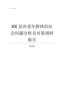 XX县涉老年群体的社会问题分析及对策调研报告