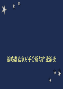 战略群竞争对手分析与产业演变(1)